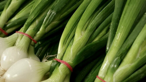 Rien de mieux que quelques petits oignons blancs pour relever vos plats