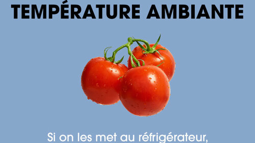 Les tomates oui, mais uniquement à température ambiante