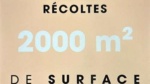 2000 M² de surface réfrigérée