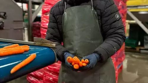 Jolie, la couleur des carottes !