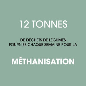 La méthanisation ou processus biologique de dégradation des déchets de légumes