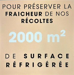 2000 M² de surface réfrigérée